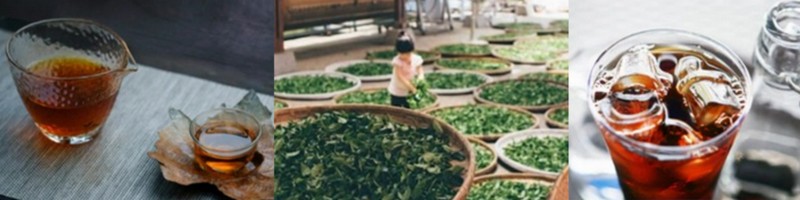 �����ƍ���A�L�x�ȉh�{�f�����w����~chakai~�x���T�C�g